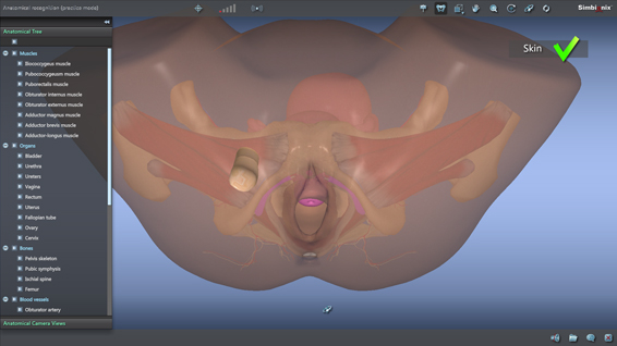 Anatomical Recognition Module