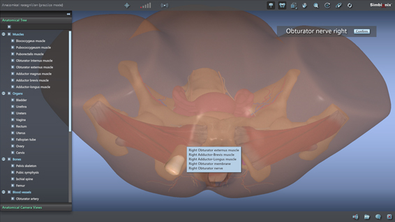 Anatomical Recognition Module